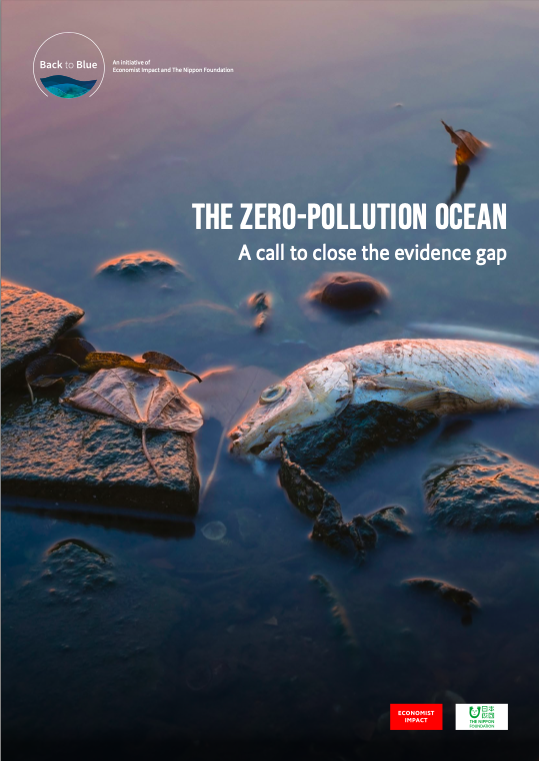 zero-Pollution